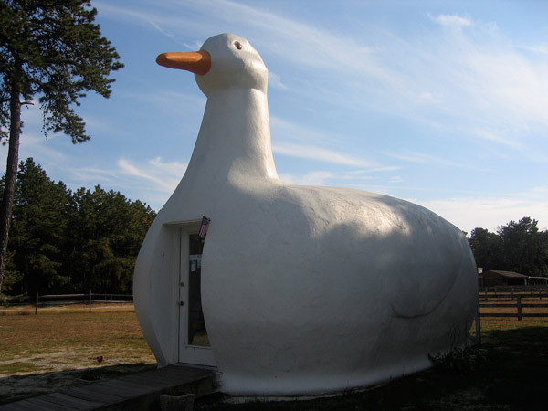 big-duck-flanders