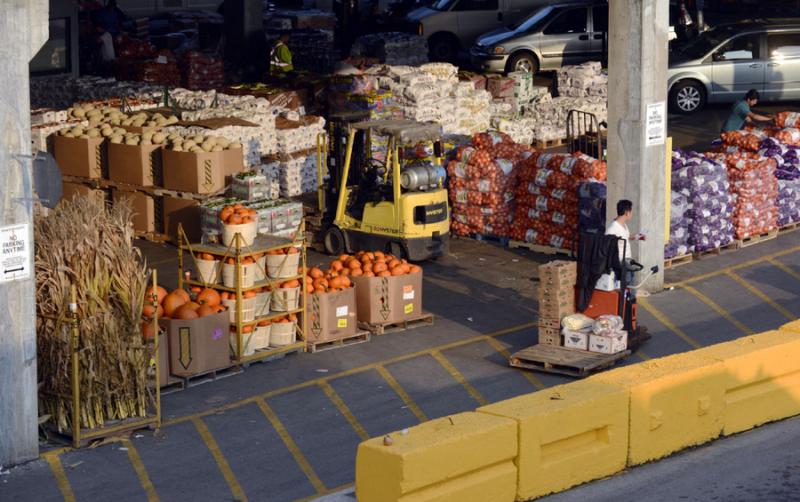 The Toronto Food Terminal — Behind Closed Doors – Torontonian Online